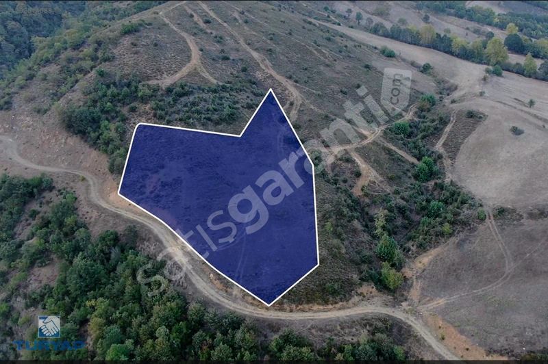 ÇANAKKALE BİGA YOLİNDİ KÖYÜ 4.589M2 BARAJA YAKIN FIRSAT TARLA
