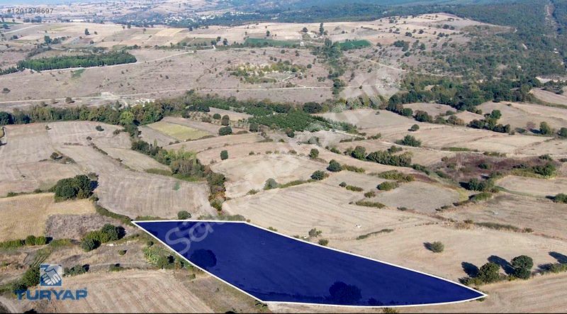 ÇANAKKALE BİGA HACIPEHLİVAN 11.554M2 DENİZ MANZARALI TARLA