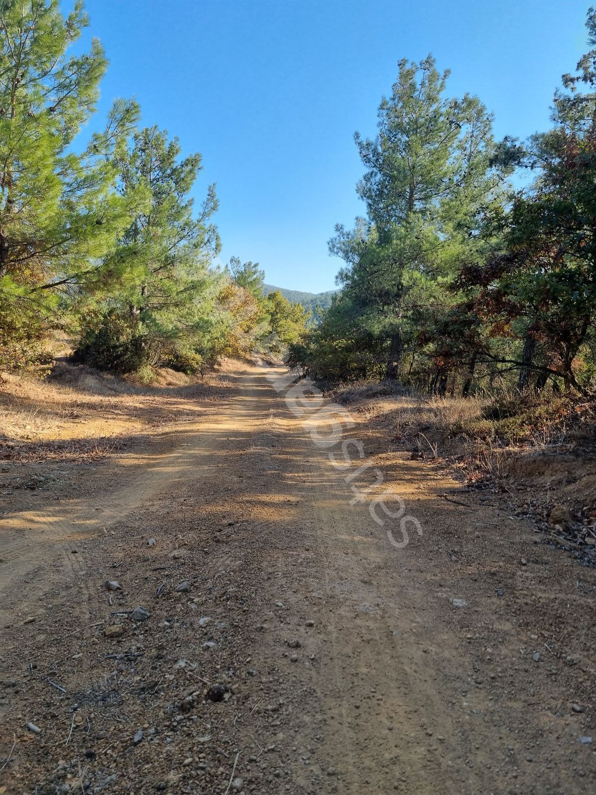 KAZ DAĞLARI ETEĞİNDE BAYRAMİÇ HACIBEKİRLERDE 1800 m2 BAĞ HAN EMLAKTAN