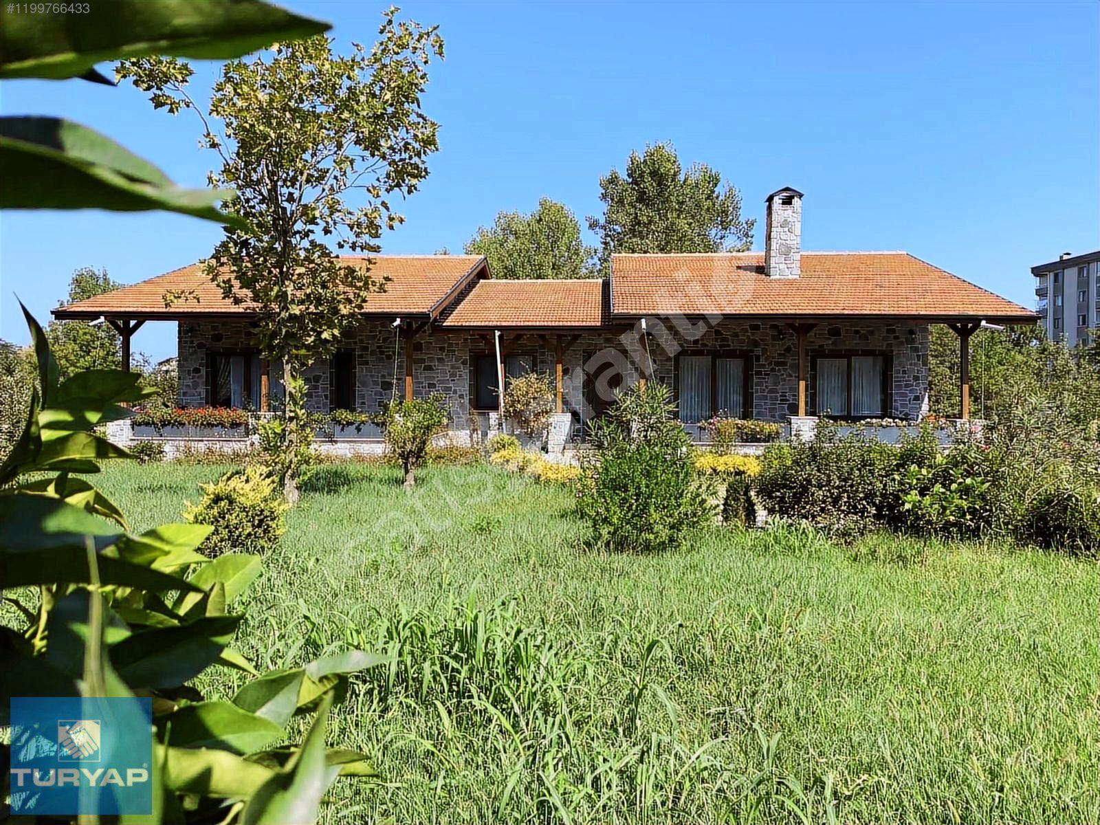 ORDU PERŞEMBE EFİRLİ MALİKANE İLE 3320 m2 ADABAZLI SATILIK ARSA