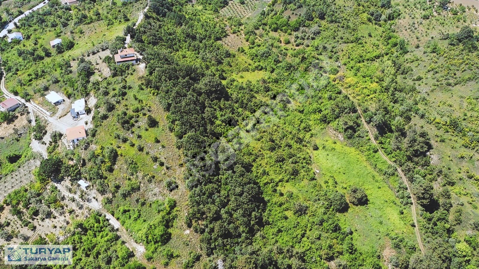 Sakarya Geyve Bağlarbaşında Satılık 8252 M2 Bağ&Bahçe