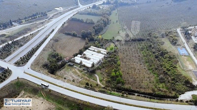 Adapazarı Ekizceosmaniye'de Yola Köşe Parsel 22381 m2 Tarla