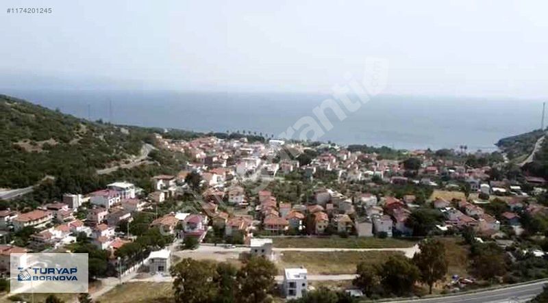 Maydanoz Koyu'nda Denize Yürüme Mesafesi 227 m2 Tapu Dev. Arazi