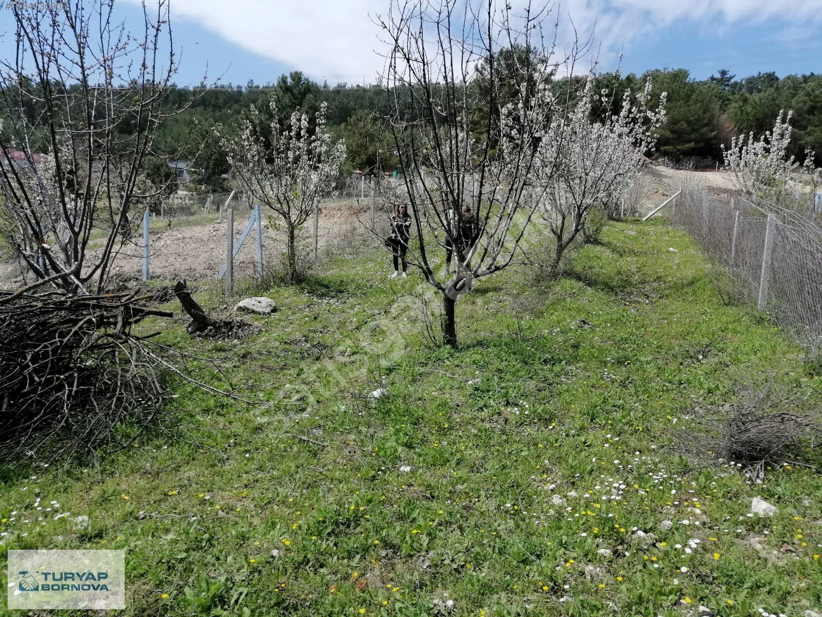 Turyap Bornova'dan Damlacık'ta 500 M2 Satılık Tarla