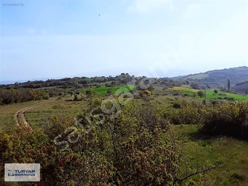 Susurluk Danaveli'de 14350 M2 Satılık Tarla