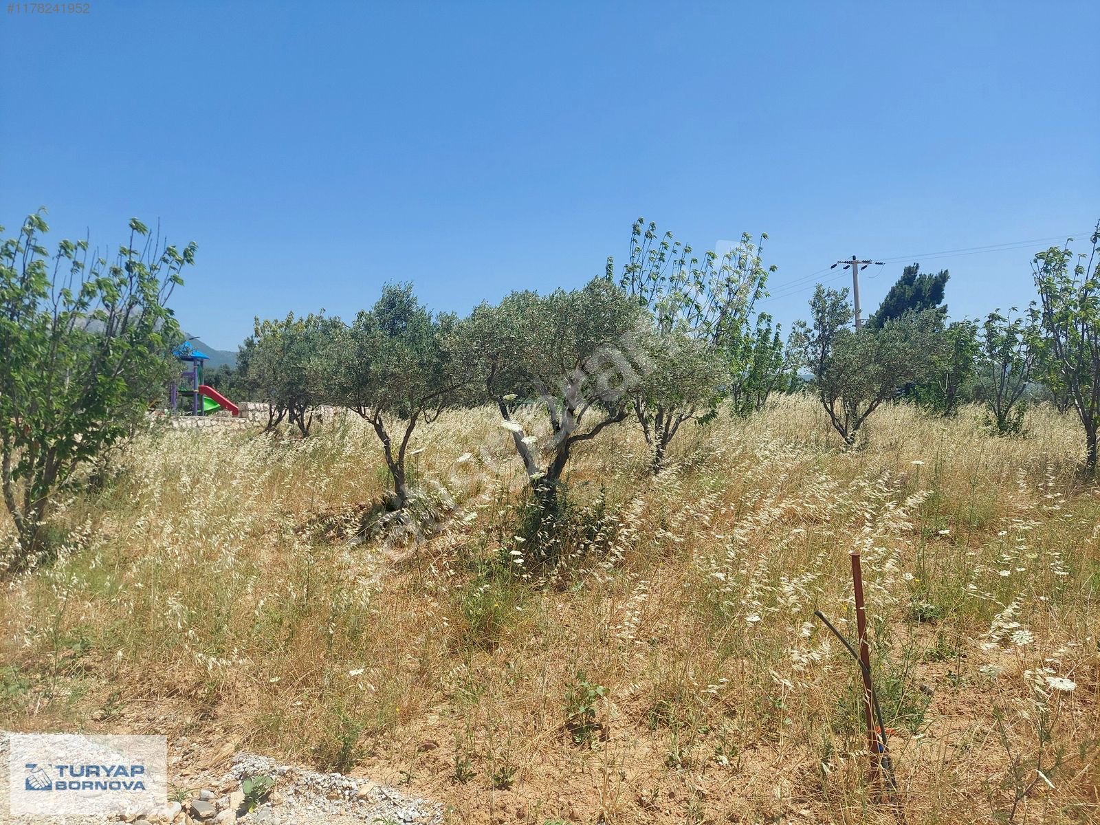 Turyap Bornova'dan Kemalpaşa Dereköy de 243 M2 Satılık Bahçe