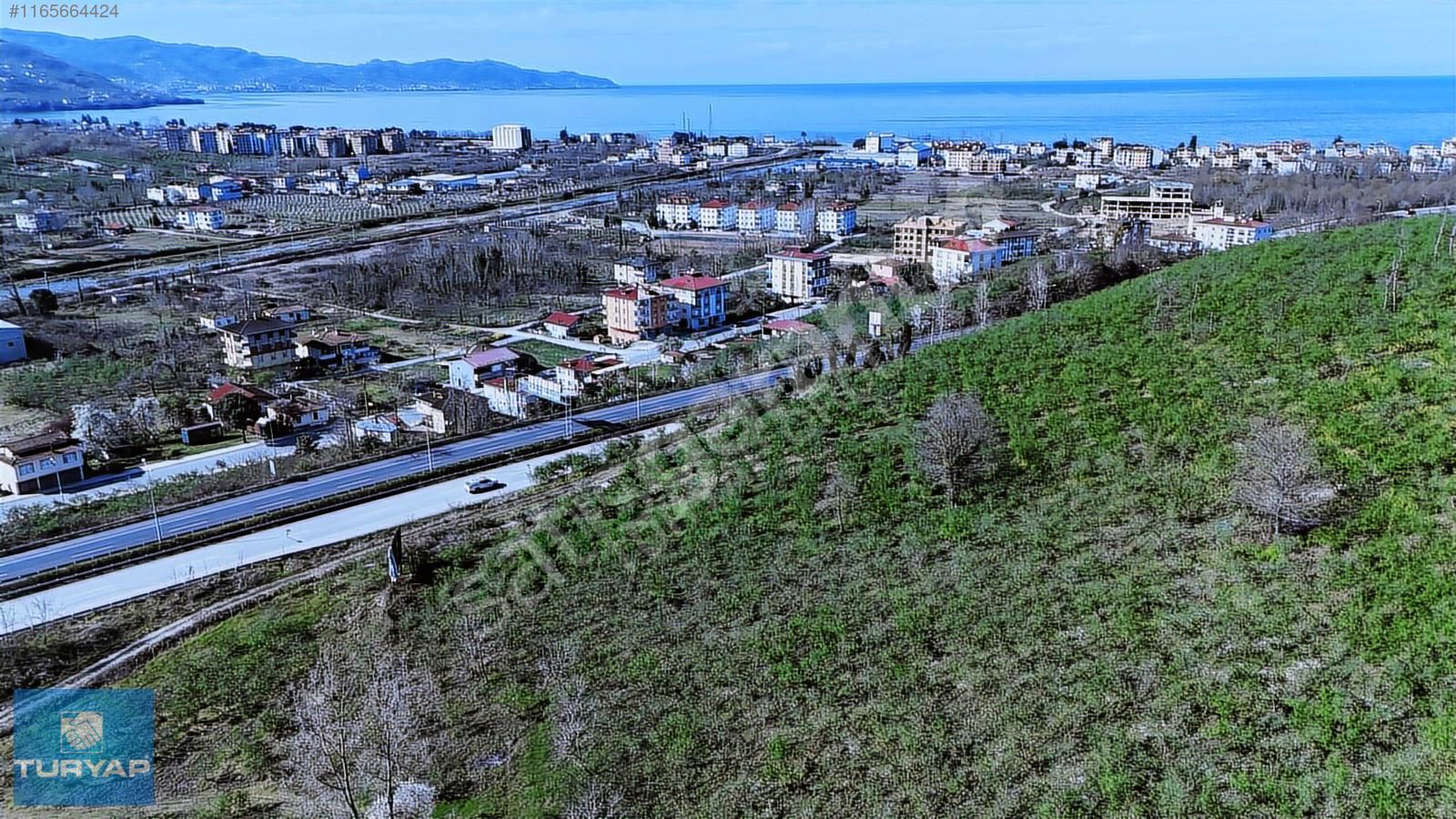 ORDU KUMBAŞI MAHALLESİNE KOMŞU 1435 M2 SATILIK DÜZ BAĞ&BAHÇE