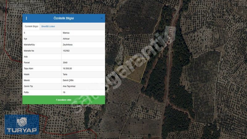 AKHİSAR ZEYTİNLİOVA'DA TEK TAPU 16500M² ZEYTİNLİ TARLA