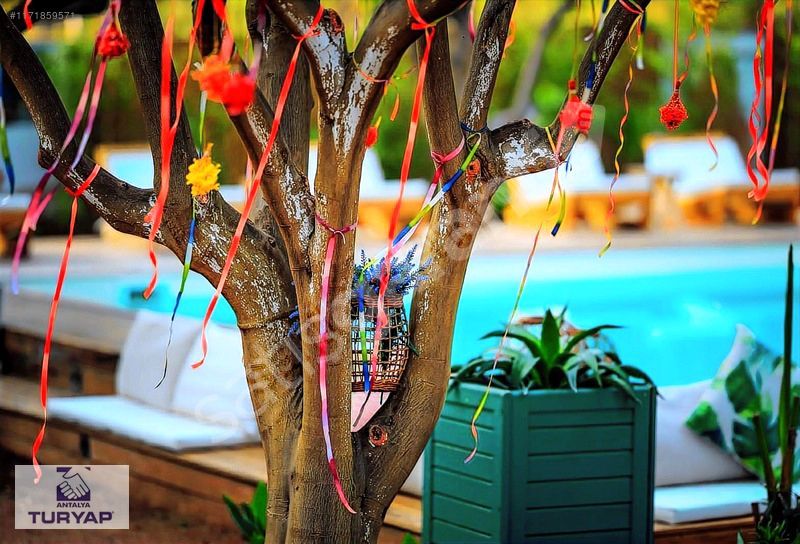 Çıralı da Emsalsiz Nitelikte Satılık Bungalov Otel