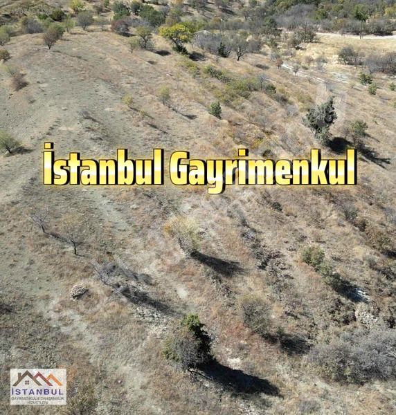 HARPUT'ta SATILIK 12.868m2 Arazi