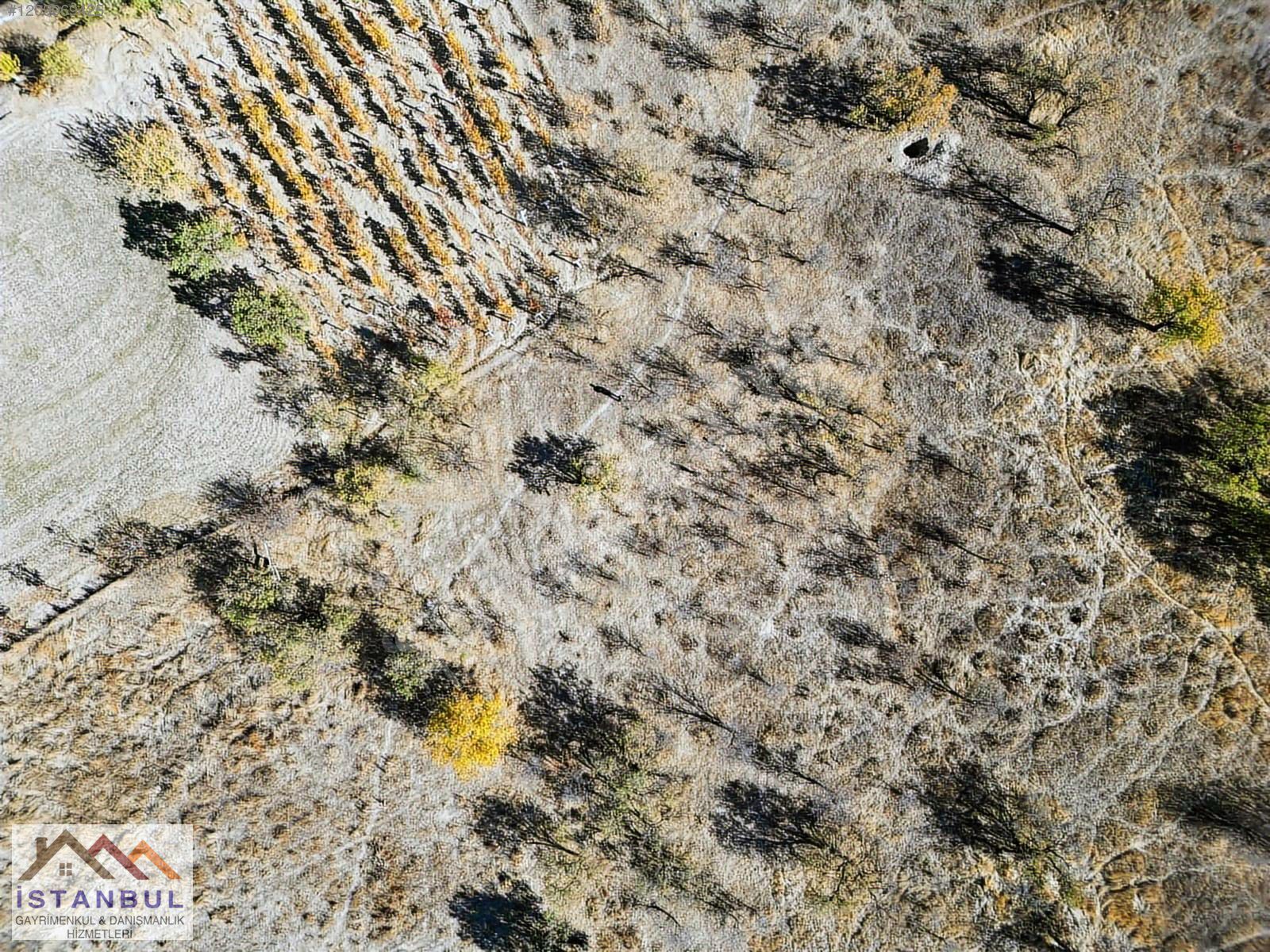 YURTBAŞI CUMHURİYETTE SATILIK 1.815m2 Bağ