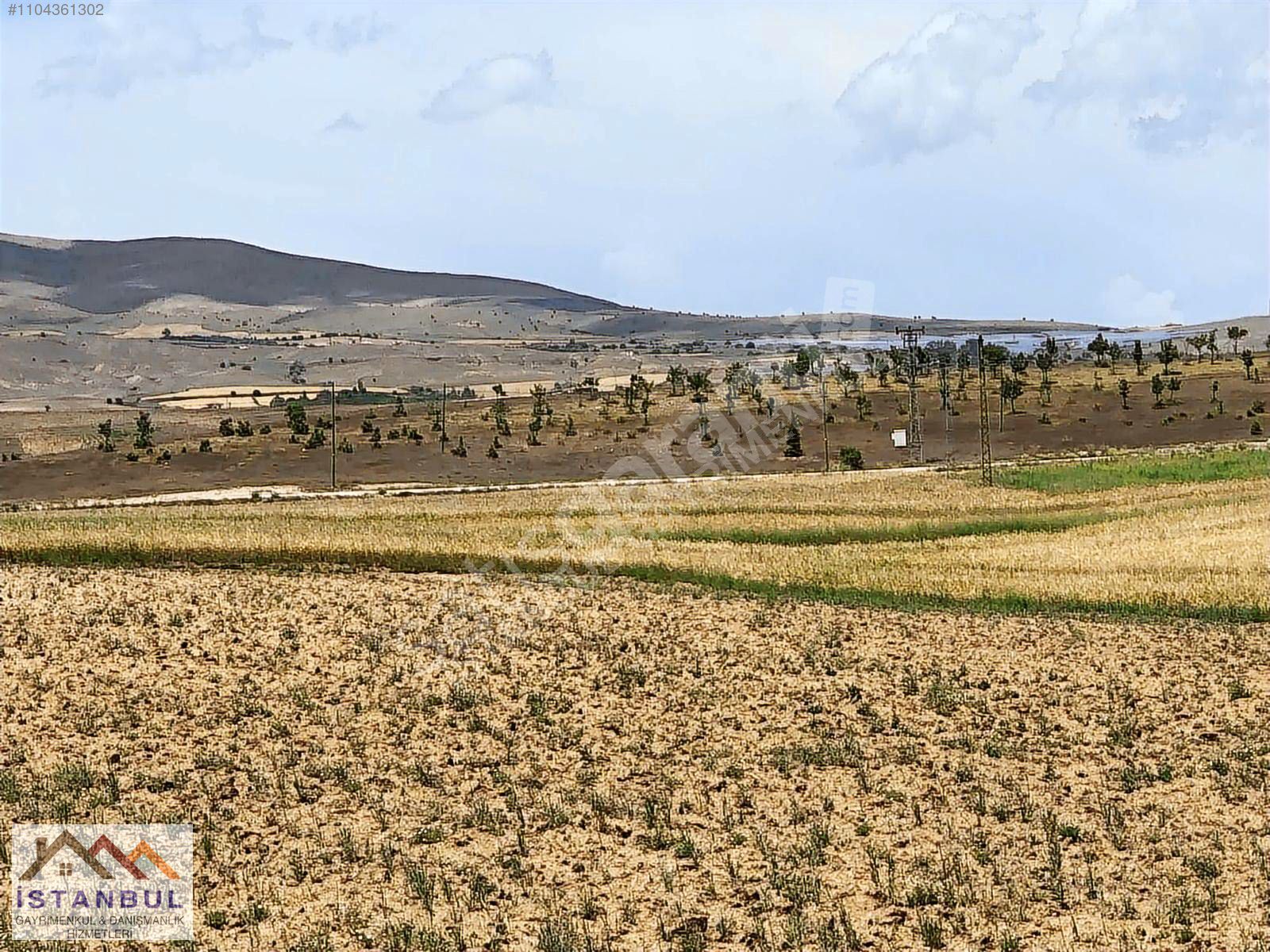 ***ACİL SATILIK*** TADIM'da SATILIK 9.986M2 TARLA