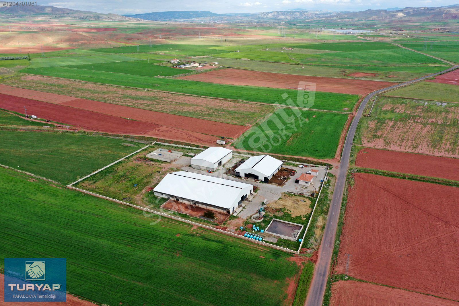 138565 m² 200 BÜYÜKBAŞ BESİ/SÜT ÇİFTLİĞİ