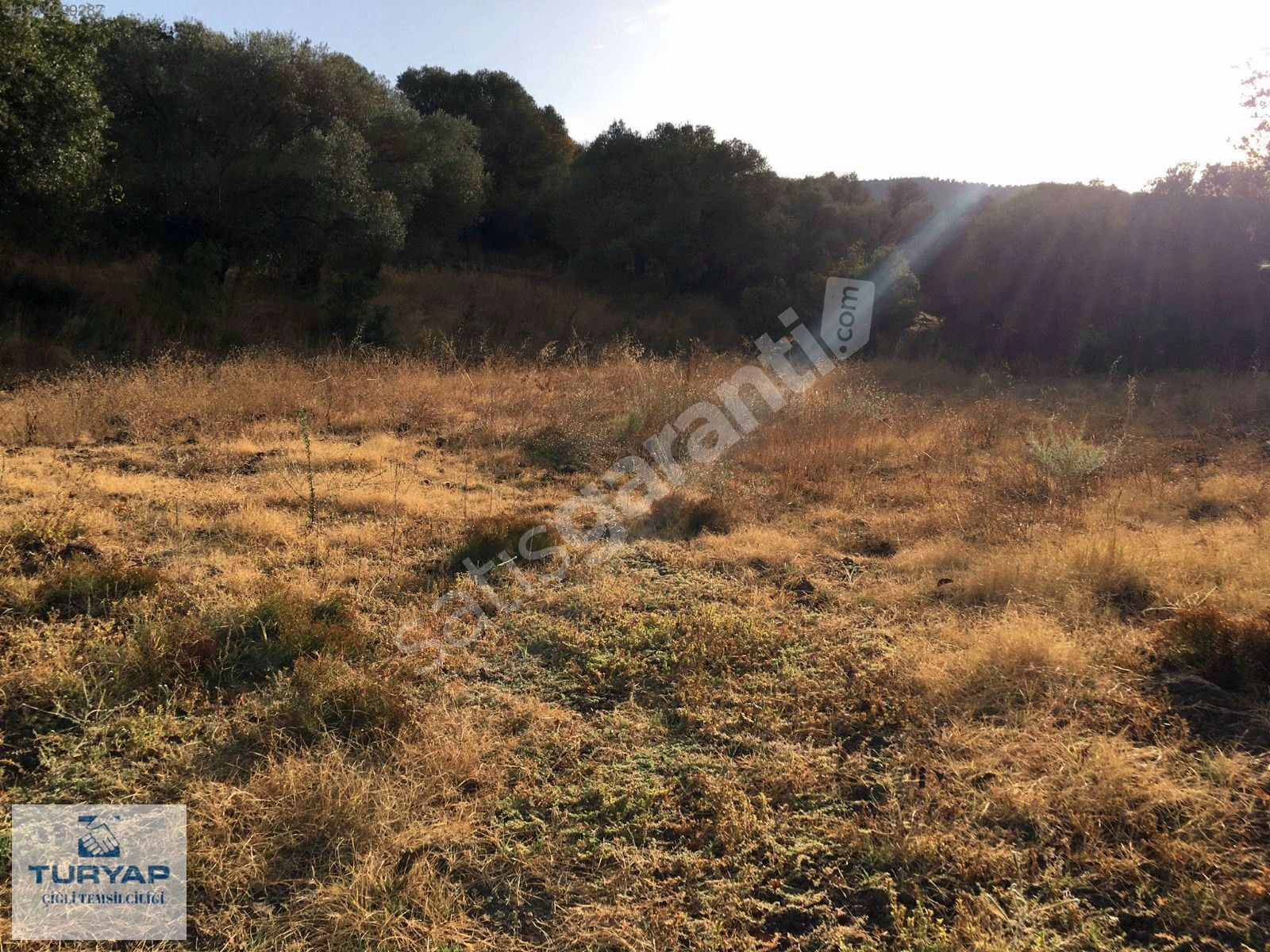 İzmir Yeni Foça Cumhuriyet Mahallesi'nde Satılık Tarla