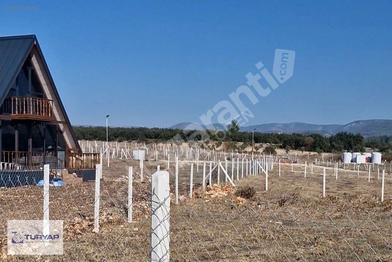 Cazip Fiyatlara ARSA ve TİNY HOUSE birlikte...