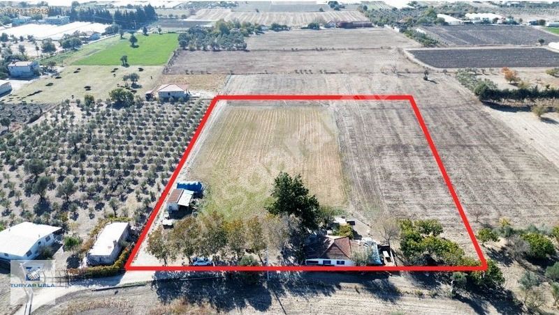 TURYAP'tan Urla Kuşçular'da 15 Dönüm Kadastral Yolu Olan Tarla