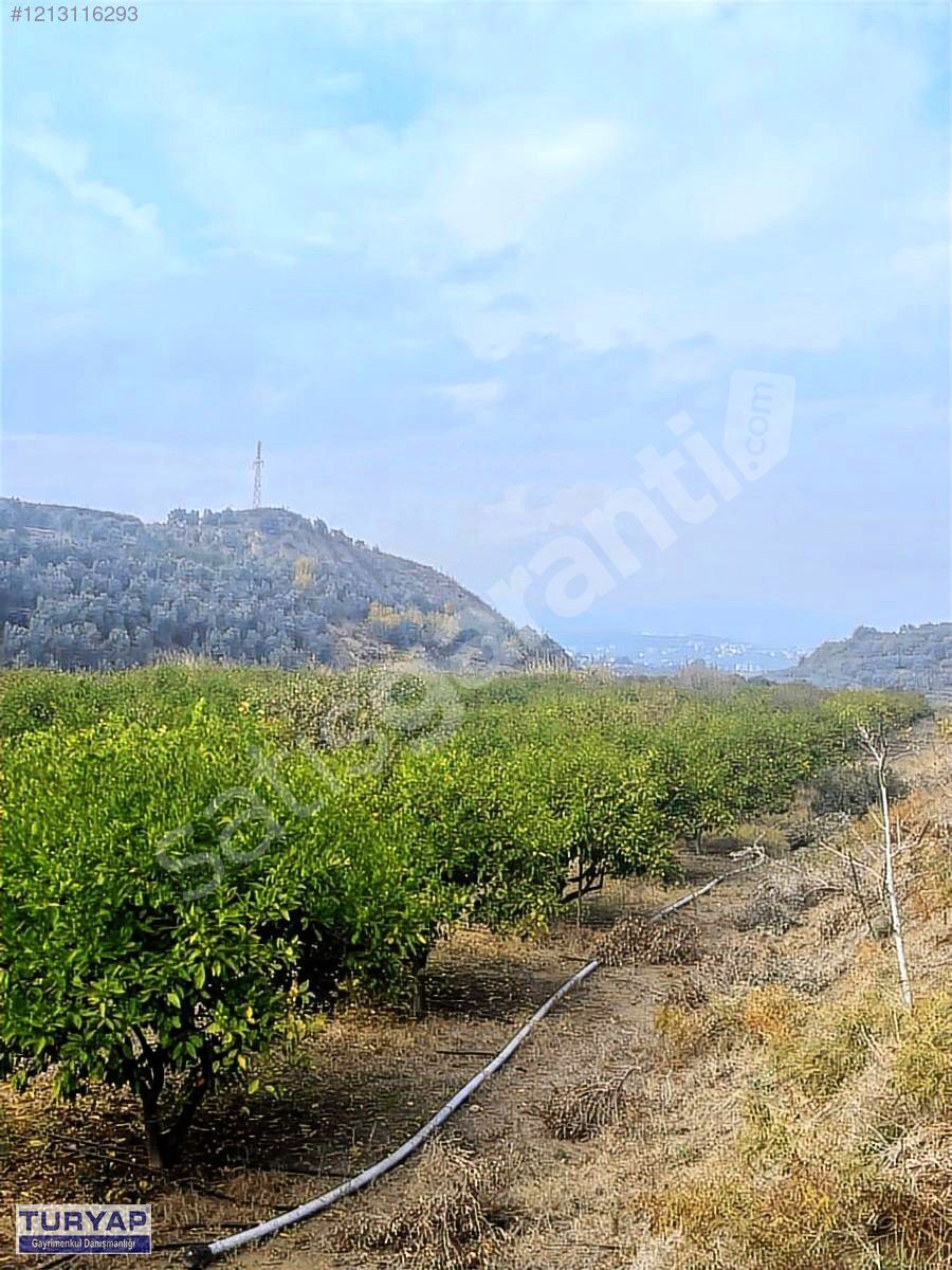 YEŞİLKÖY SAMANDAĞ YOLUNA YAKIN FIRSAT TARLA