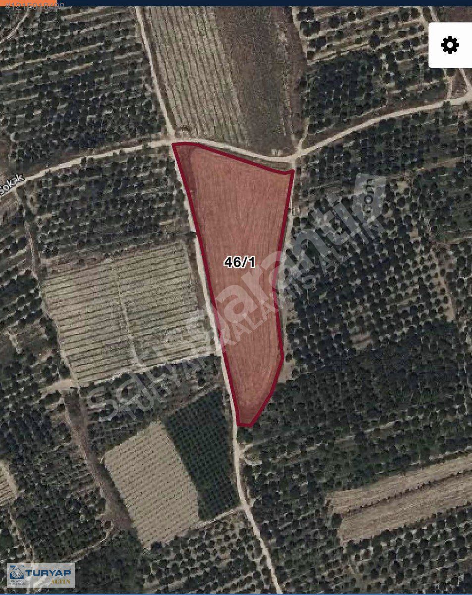 Isparta Uluborlu 12.203 m2 verimli arazi