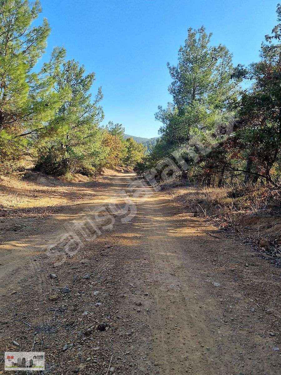 HAN EMLAK'TAN KAZDAĞLARI HACIBEKİRLER KÖYÜNDE 1800m2 SATILIK BAĞ