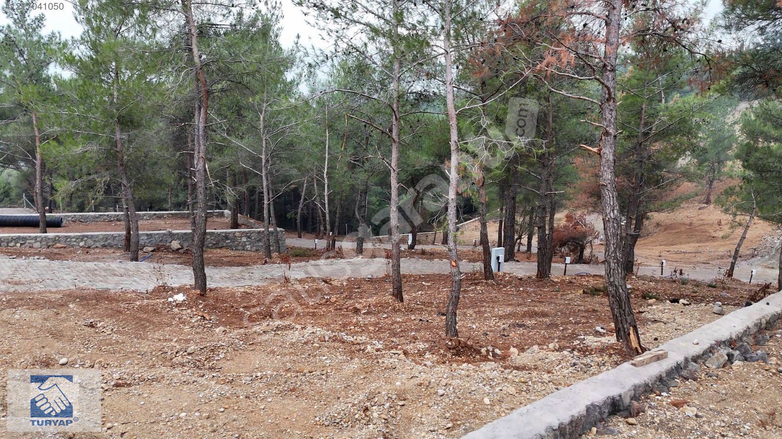Kemalpaşa Turyaptan Sütçülerde Satılık Bahceler