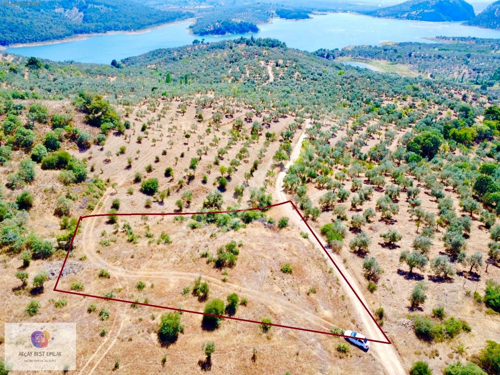 ⫸ AKÇAY BEST EMLAK ⫷ HAVRANDA BARAJ MANZARALI 2571 M² ZEYTİNLİK