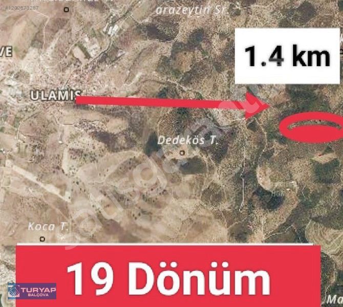 SEFERİHİSAR - ZEYTİNLİK - 19 DÖNÜM