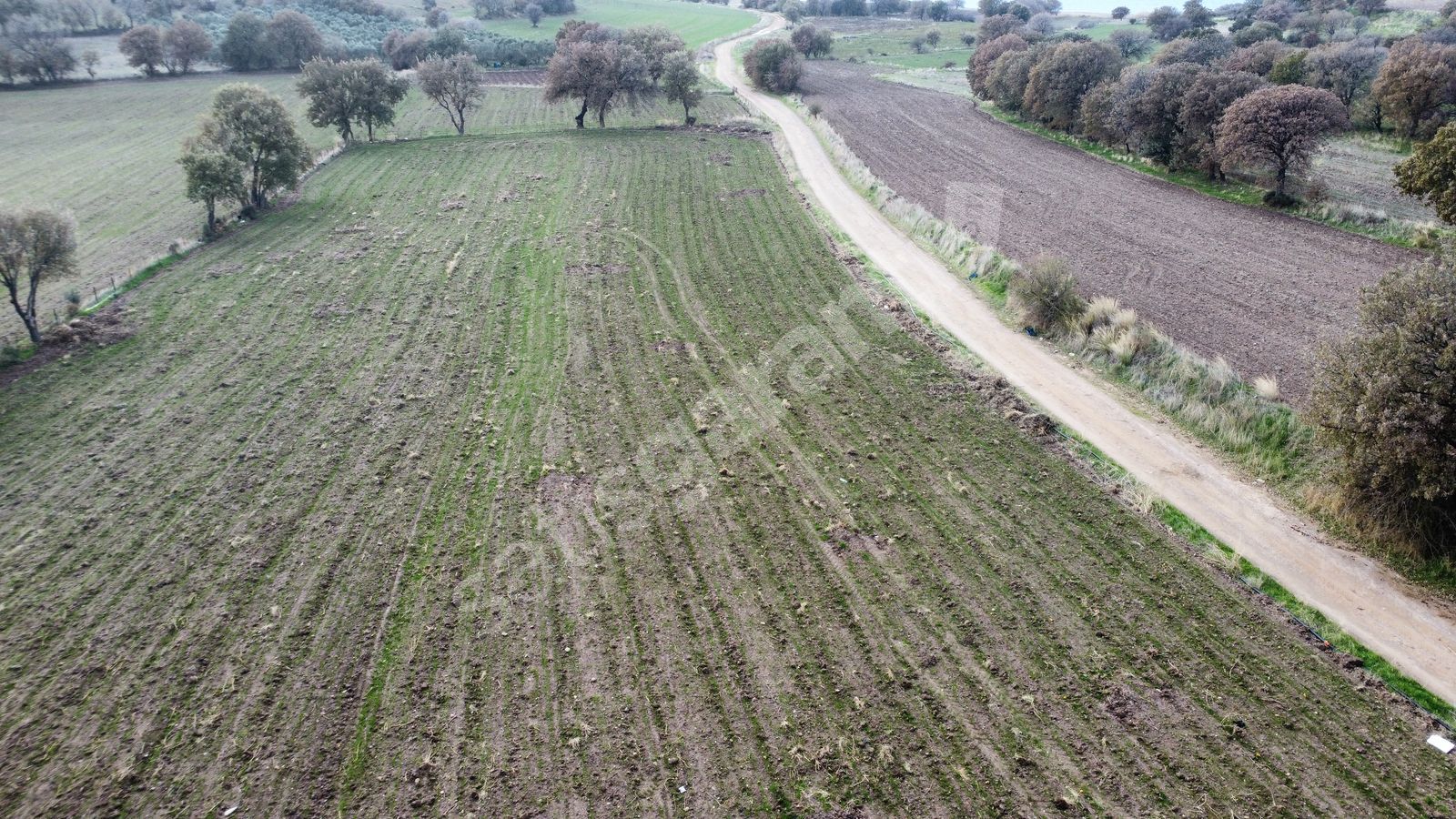 HAN EMLAK OTOMOTİV'DEN AYVACIK KÖSEDERE KÖYÜNDE 7300 m2 SATILIK TARLA