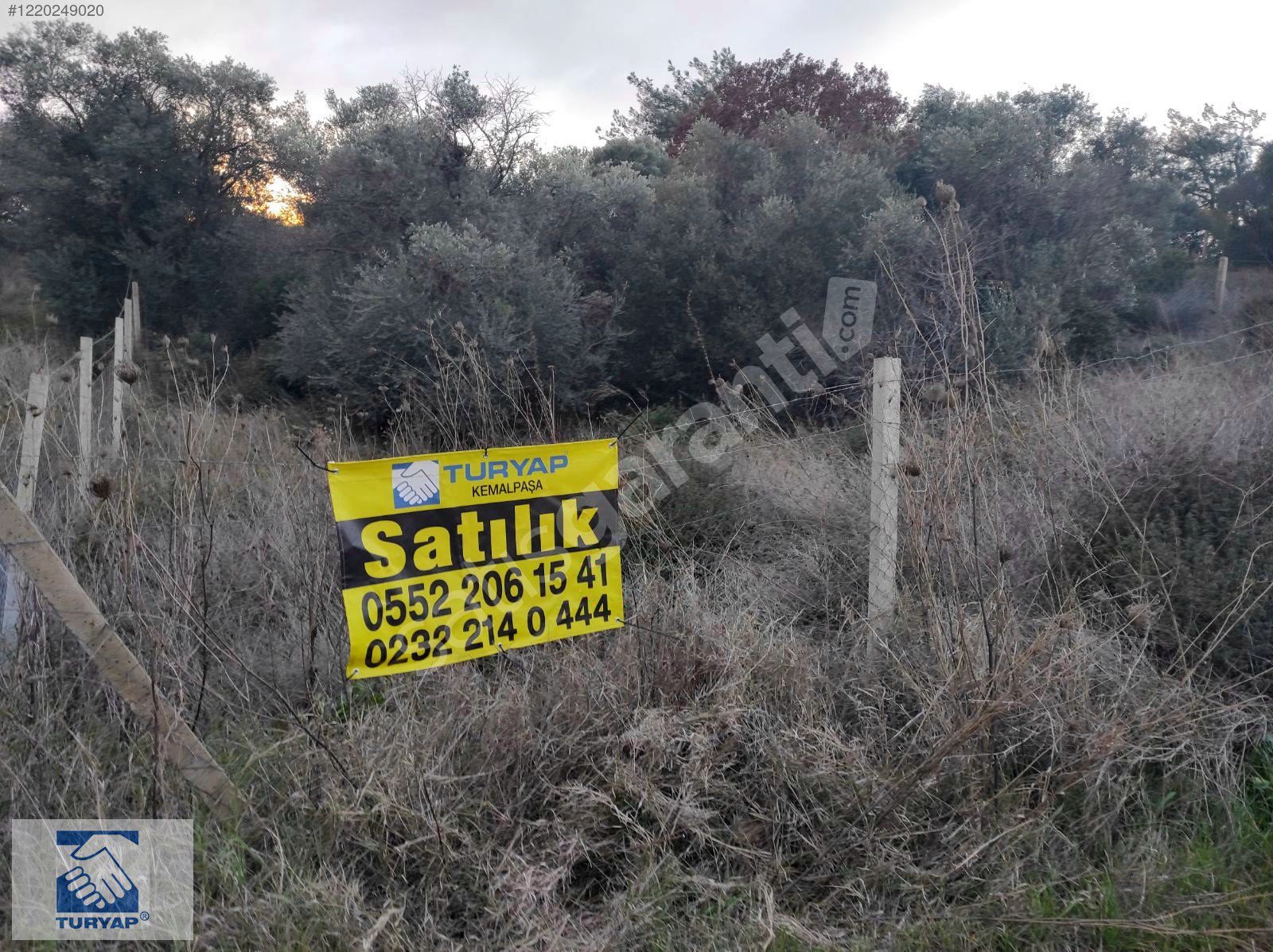 Kemalpaşa Armutlu Satılık 495m2 Villa İmarlı Arsa