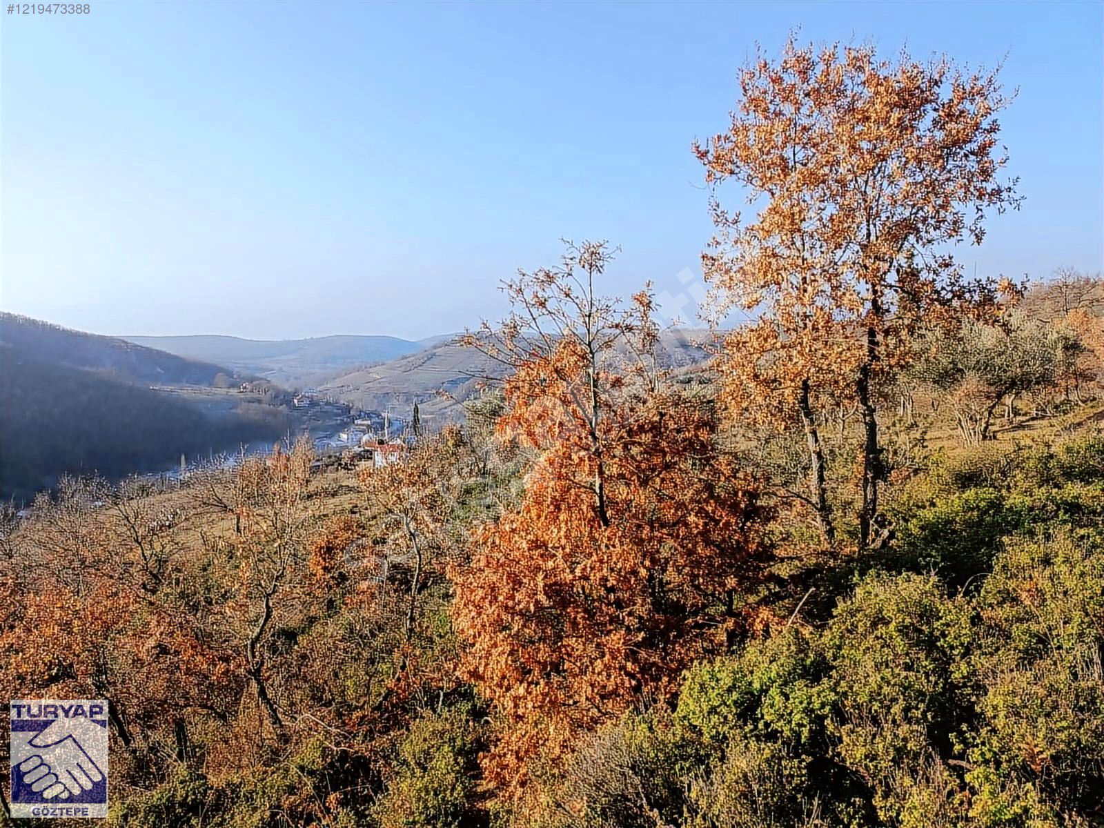 TURYAP GÖZTEPE DEN İZNİKTE SATILIK 2736 M2 ARAZİ
