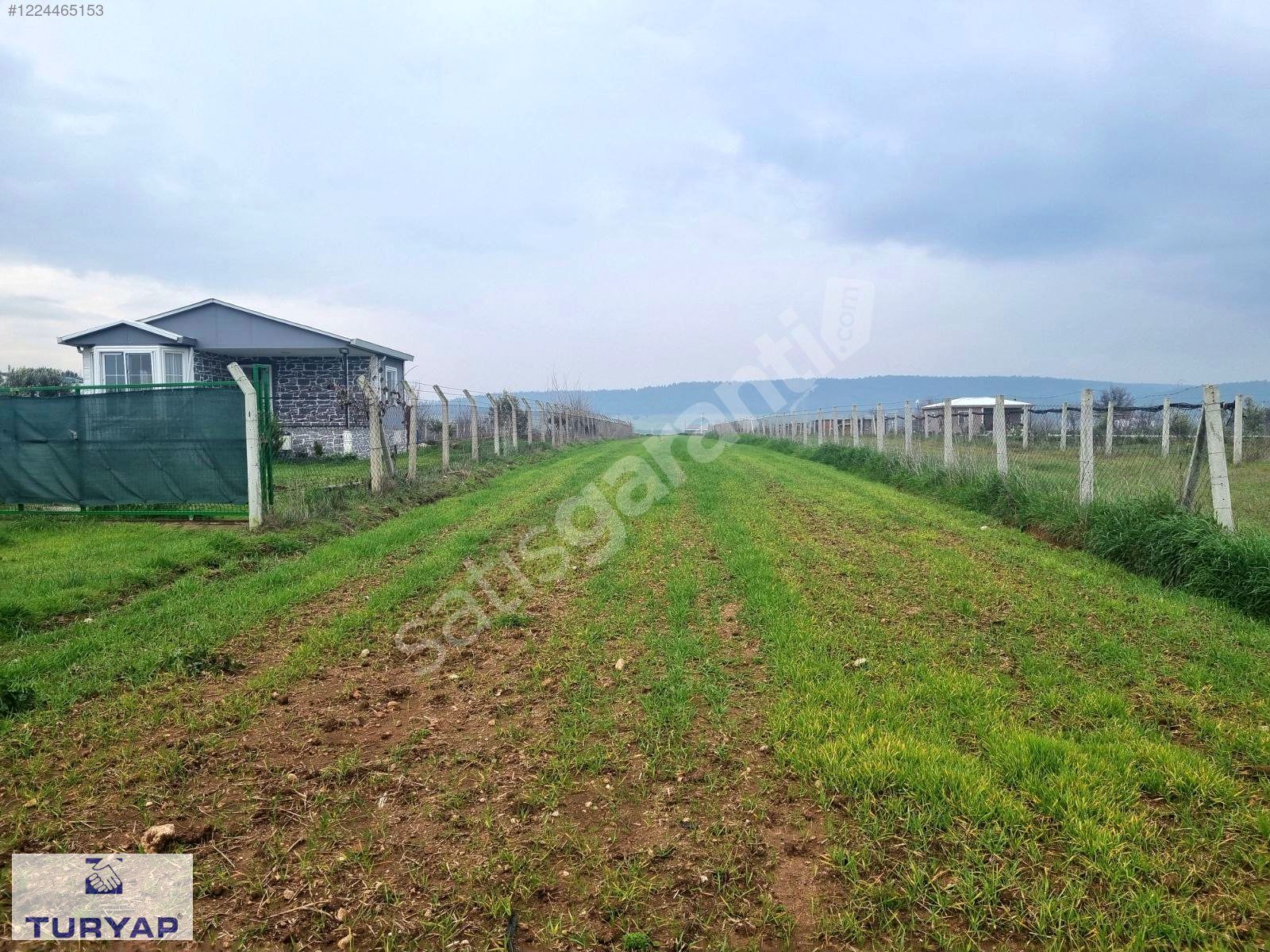 GAZİEMİR TURYAPDAN MENDERES OĞLANANASINDA SATILIK 1000M² TARLA