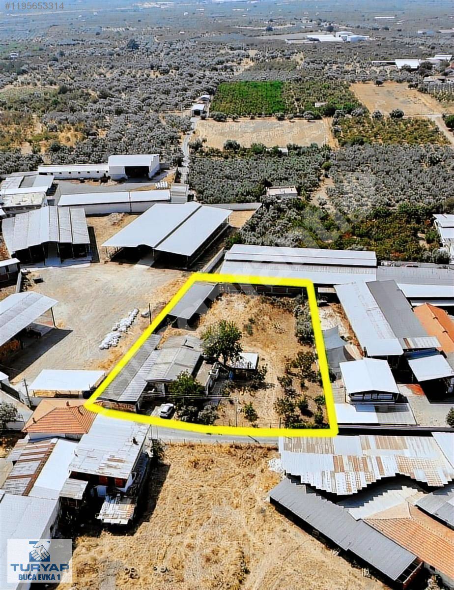 Halilbeyli'de İçinde Evi Olan Tam Teşekküllü Besi Çiftliği