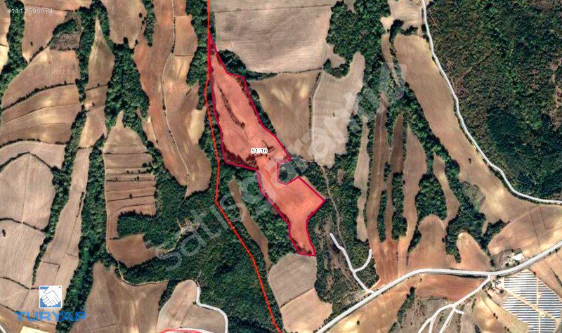 MALKARADA 41600m² SATILIK TARIM ARAZİSİ