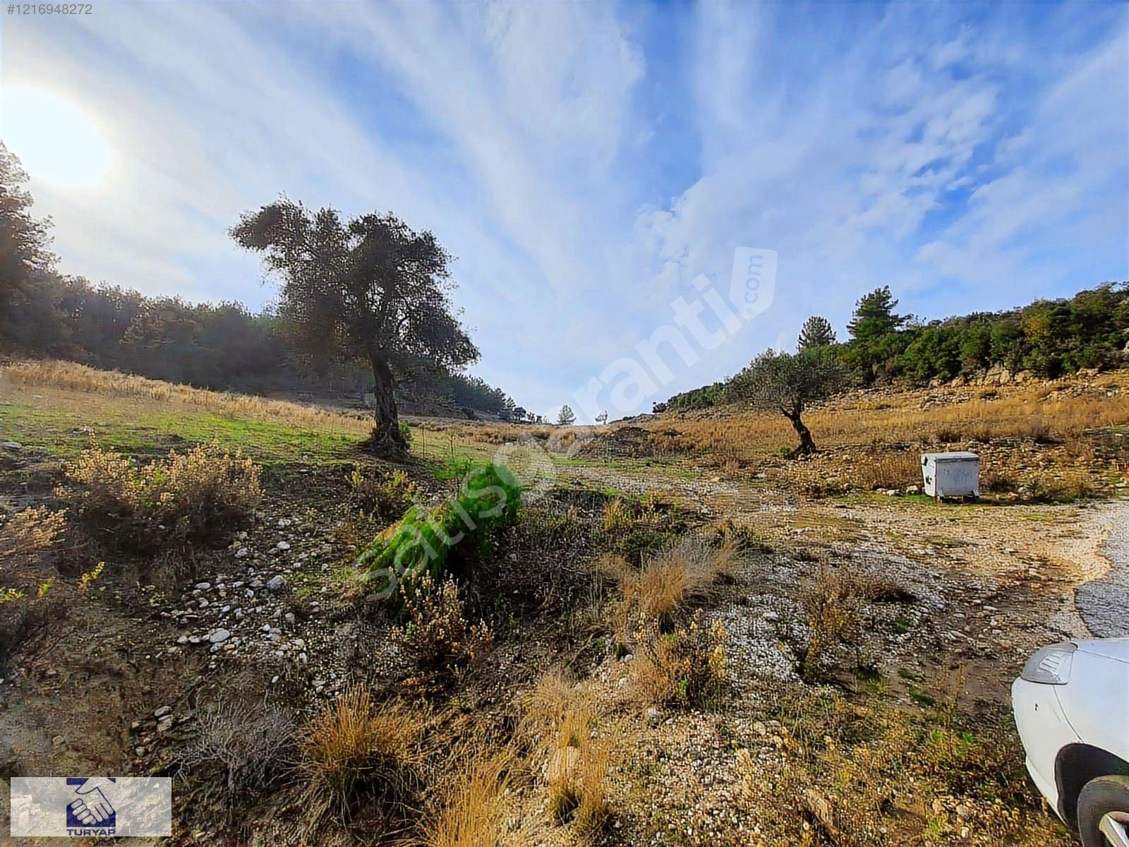 TAŞAĞIL ,YAZLIK SİTE ,TİNY HOUSE ,HOBİ BAHÇESİ İÇİN 24 145 M2