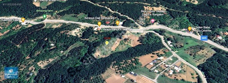 ULUDAĞ KİRAZLI'DA 6.091m² SATILIK YOL KENARI TARLA