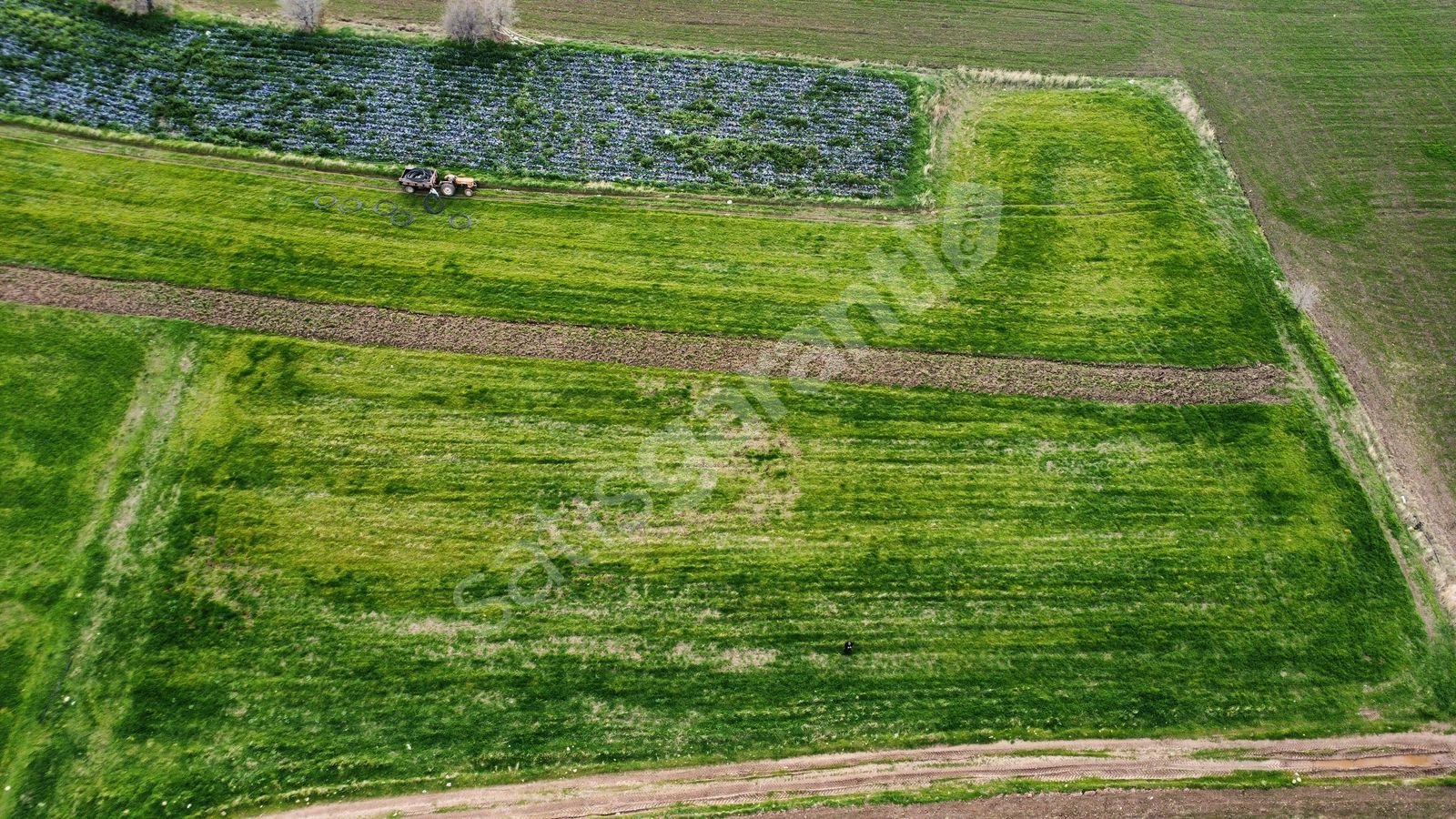 AYVACIK KÖSEDEREDE DENİZE 170 METRE UZAKLIKTA 2650 m2 TARLA