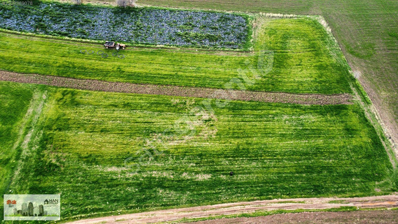 AYVACIK KÖSEDEREDE DENİZE 170 METRE UZAKLIKTA 2650 m2 TARLA