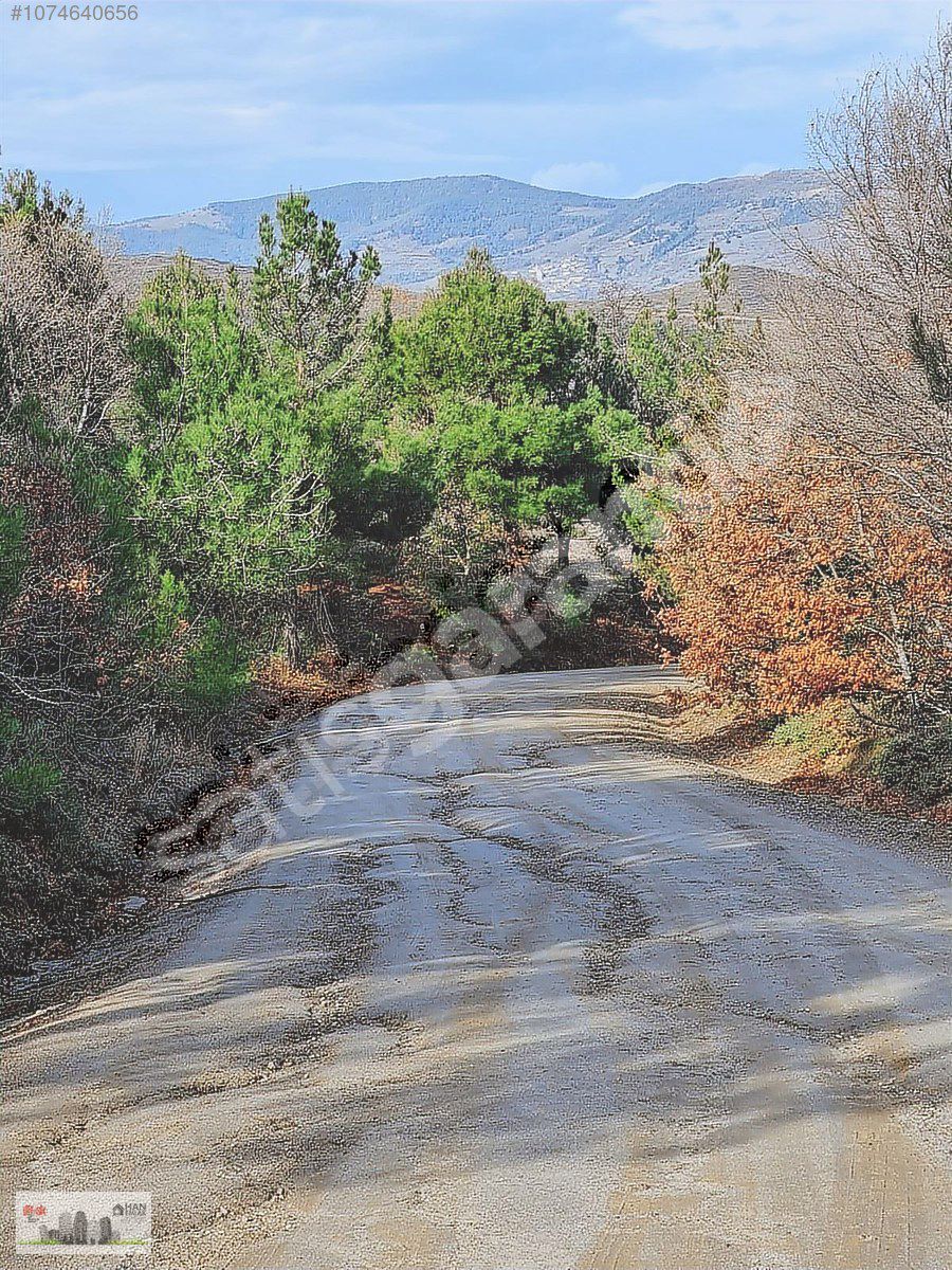 OKSİJEN DEPOSU KAZ DAĞLARI BAYRAMİÇ ÇIRPILAR'DA 9700 m2 TARLA