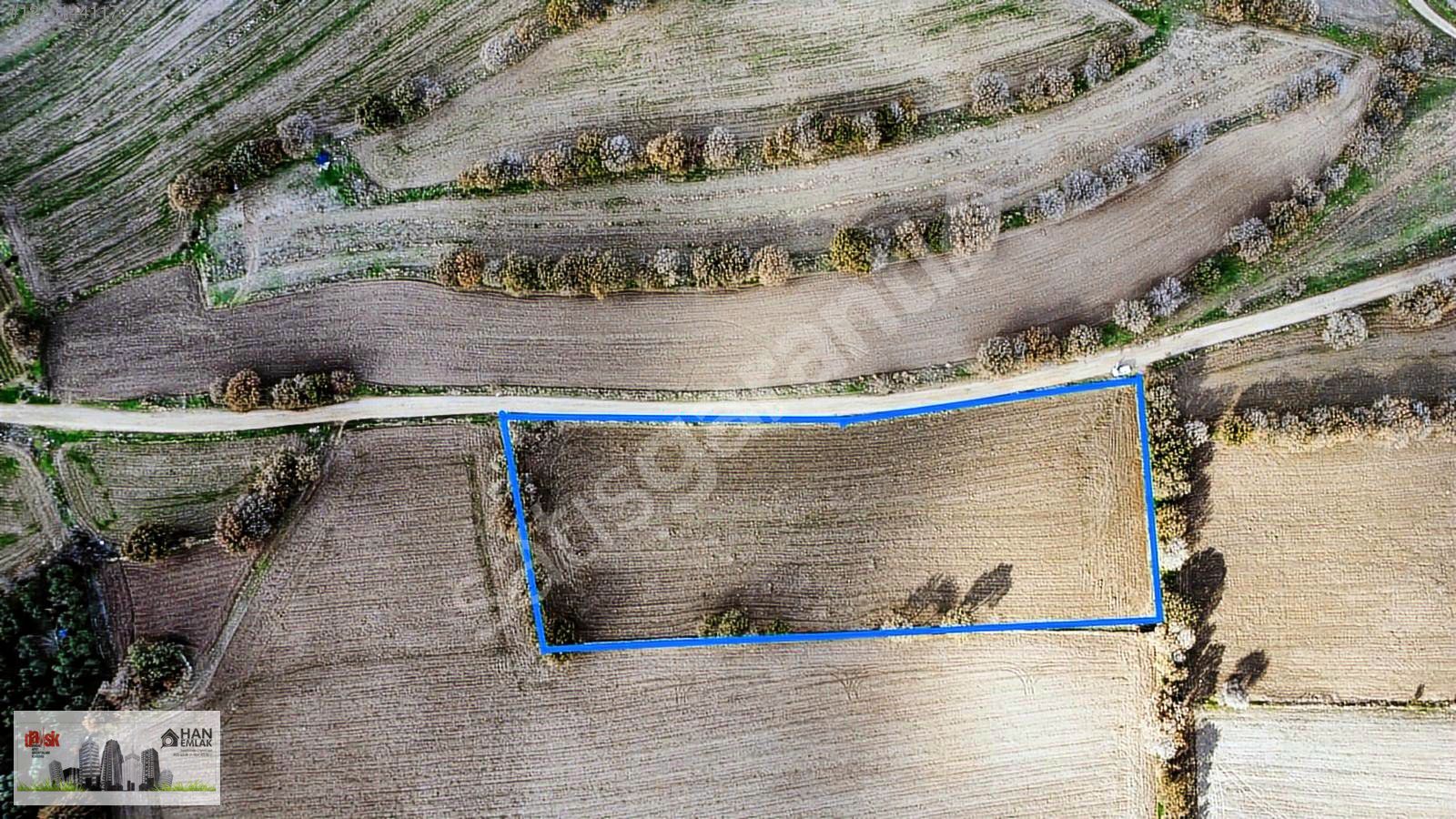 AYVACIK KÖSEDERE KÖYÜNDE 7300 m2 SATILIK TARLA HAN EMLAK'TAN