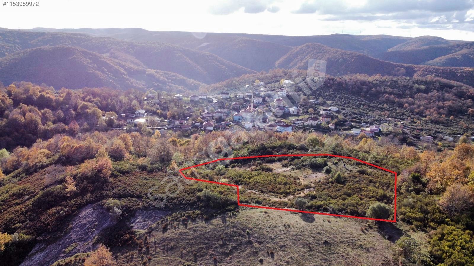 Şile Hasanlı Mahallesinde 5211 M2 Köy Kenarı Tarla
