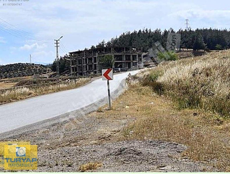 HAYDARBEY TURYAPTA TÜRKOĞLU ÜNVERSİTE YOL ÜZERİ FIRSAT ARSA