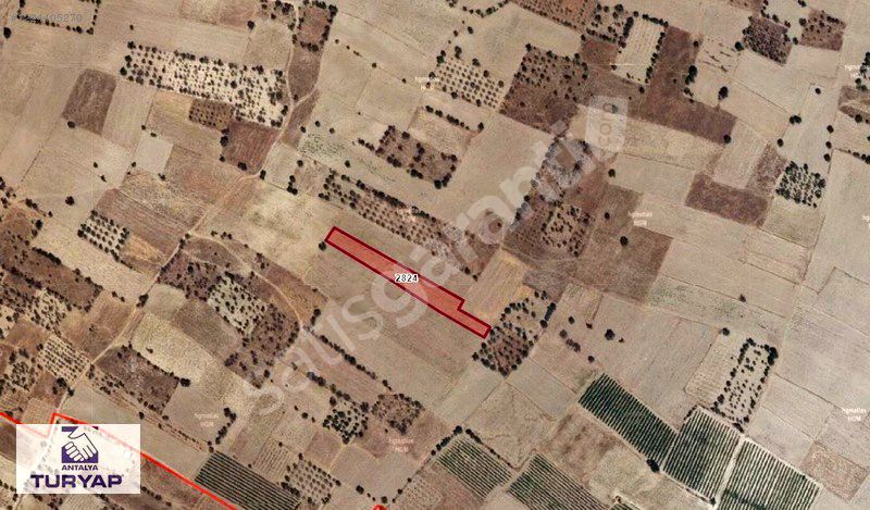 Keçiborlu Kılıç Köyü'nde 3850 m2 Yatırımlık Tarla