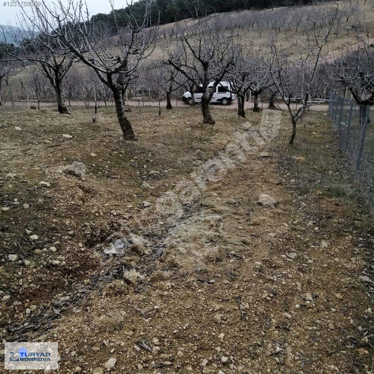 Turyap Bornova'dan Kemalpaşa Damlacık'ta 500 M2 Satılık Bahçe