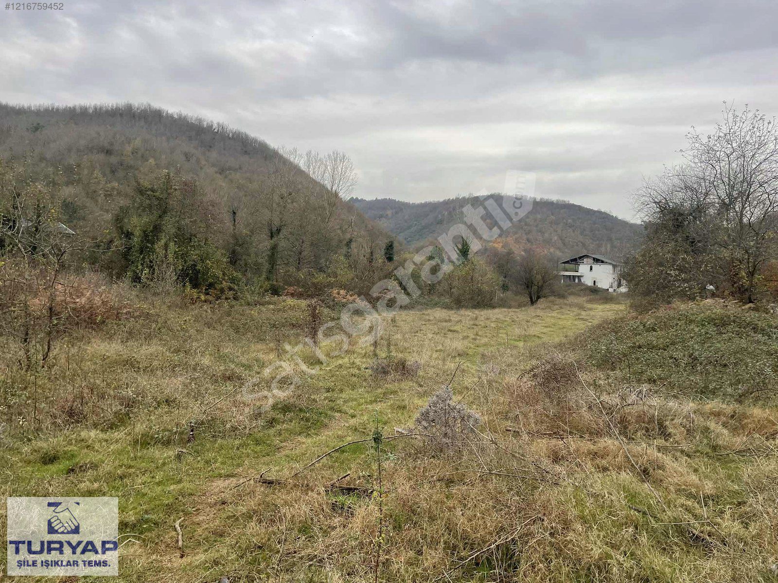 ŞİLE TURYAP TAN SATMAZLI DA SATILIK 6180 M2 ARAZİ