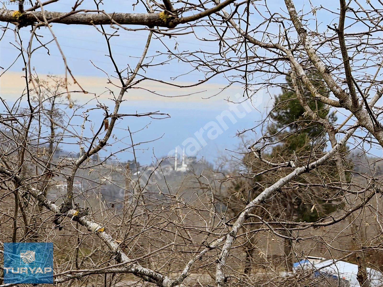 Ordu Perşembe Bekirli'de Deniz Manzaralı Satılık Arsa