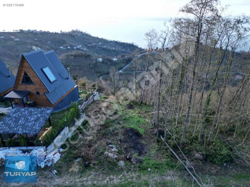 PERŞEMBE ÇAYTEPEDE DENİZ MANZARALI SATILIK BAHÇE