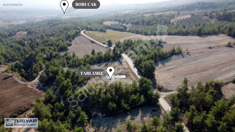 Sakarya Geyve Sekiharmanda Asfalt Yol Üstü 1865m2 Müstakil Tarla