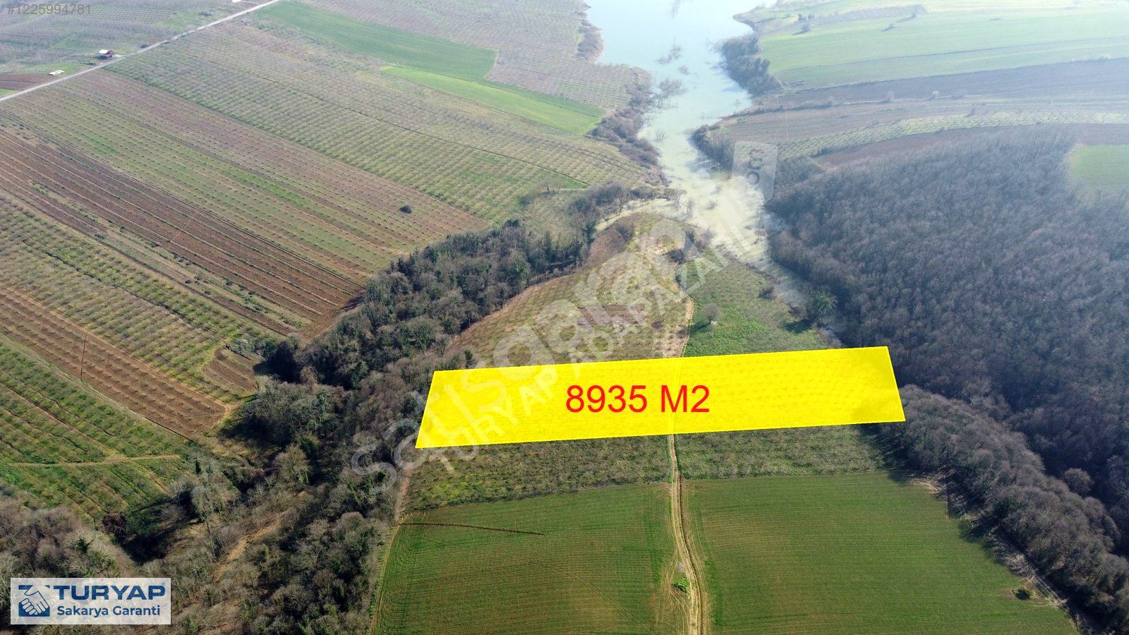 Sakarya Söğütlü Kantarda OSB Yakını Fındık Bahçesi