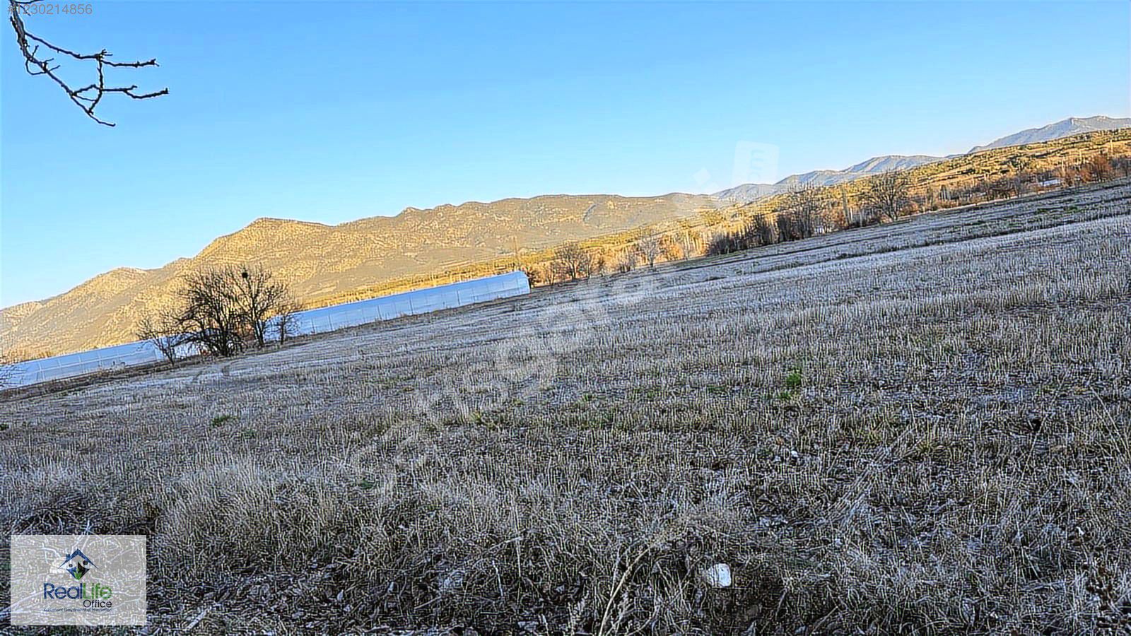 Reallife Office den Acıpayam Darıveren de 3000m2 Satılık Tarla