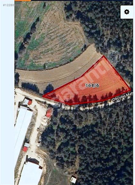 BOLU GÖYNÜK İLÇESİNDE FIRSAT SATILIK TARLA