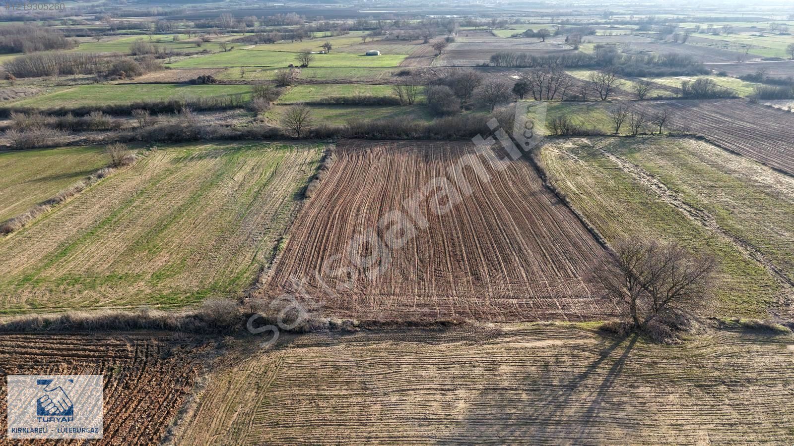 TURYAP'TAN PEHLİVANKÖY KURTULUŞ MAH.DE 3983 m2 SATILIK TARLA